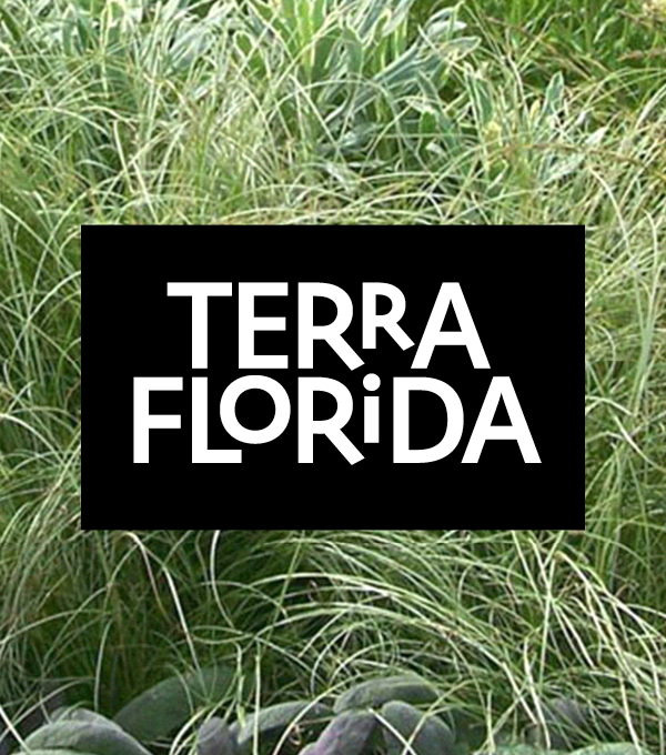 Terra Florida