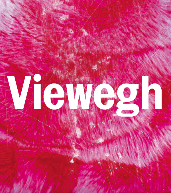 Viewegh: Melouch